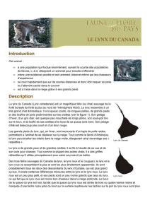 Canada Lynx FR