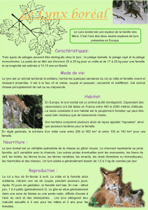 Le Lynx boréal - Pays du Vuache