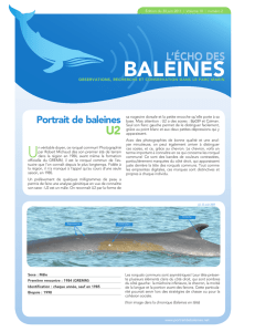 baLEinES - Alliance Éco