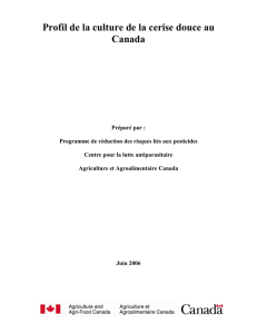 Profil de la culture de la cerise douce au Canada