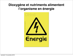 Dioxygène et nutriments alimentent lʼorganisme en énergie