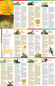 Forêt de plaine (12 volets) PDF