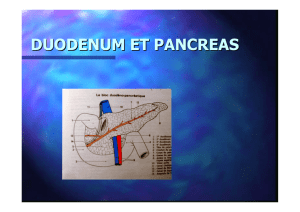 duodenum et pancreas