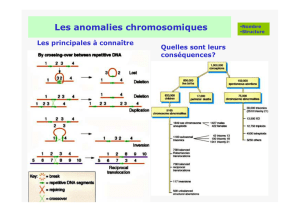 Les anomalies chromosomiques