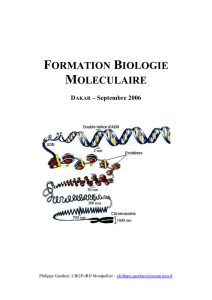 Formation Biologie Moléculaire - Dakar Septembre 2006