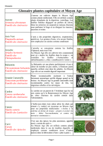 Glossaire des plantes