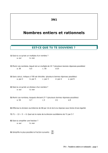 3N1 Nombres entiers et rationnels