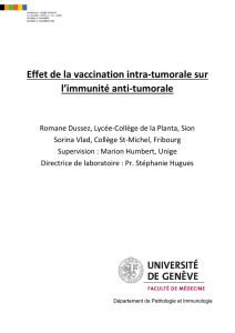 Effet de la vaccination intra-tumorale sur l`immunité anti