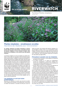 Plantes néophytes – envahisseurs occultes