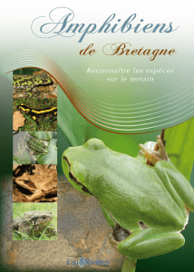 Amphibiens de Bretagne - Educatif eau et rivières