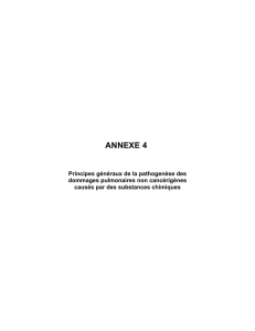 ANNEXE 4