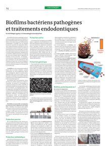 Biofilms bactériens pathogènes et traitements endodontiques