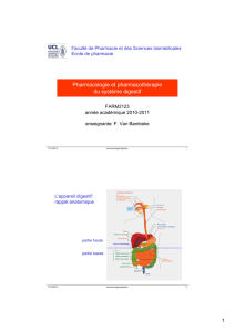 Pharmacologie et pharmacothérapie du système digestif