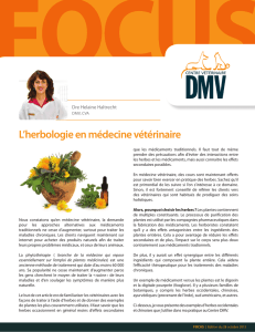 L`herbologie en médecine vétérinaire