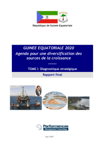 Guinée équatoriale 2020 - Agenda pour une diversification des