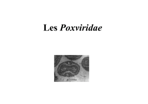 Les Poxviridae