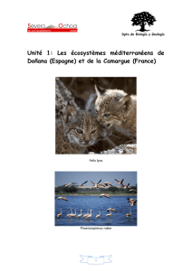 Unité 1: Les écosystèmes méditerranéens de Doñana (Espagne) et
