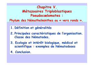 Chapitre V. Métazoaires Triploblastiques Pseudocœlomates :