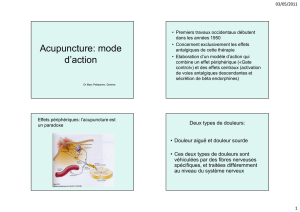 Acupuncture : mode d`action