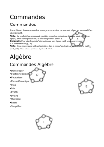 Commandes Algèbre