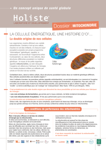 Dossier_Mitochondrie_2016.qxp_Mise en page 1