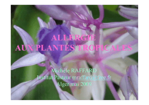 ALLERGIE AUX PLANTES TROPICALES