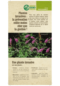 Fiche pro Plantes invasives