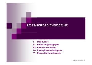 le pancreas endocrine