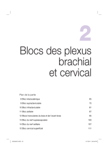 Blocs des plexus brachial et cervical