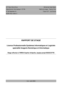 rapport de stage - Inria Sophia Antipolis