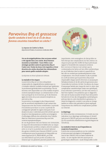 Parvovirus B19 et grossesse - Références en santé au travail