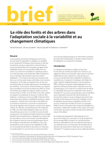 Le rôle des forêts et des arbres dans l`adaptation sociale à la