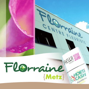 Florraine - Rewi Fleurs France