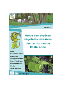 Lien vers le guide des espèces végétales invasives des territoires