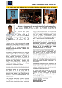 newsletter no 6 - prix Vasco Sanz
