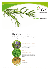 Hysope