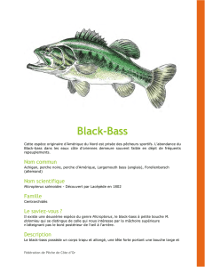 Black-Bass - Fédération de Pêche de Côte-d`Or