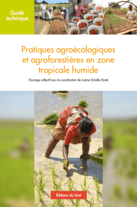 Pratiques agroécologiques et agroforestières en zone tropicale