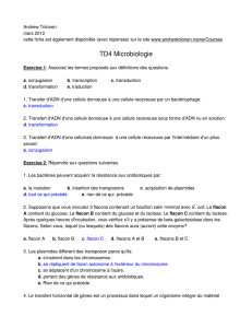 TD4 Microbiologie