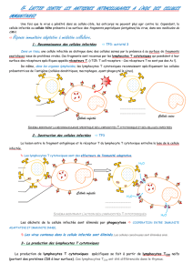 Réponse immunitaire adaptative à médiation cellulaire.