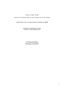 Voir l`article (format pdf)