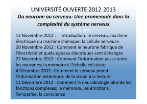 Du neurone au cerveau - Laboratoire Mati&egrave;re et Syst&egrave;mes Complexes