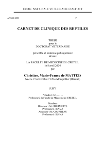 carnet de clinique des reptiles - Thèses