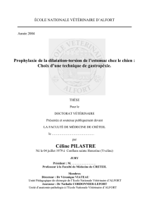 La dilatation-torsion de l`estomac