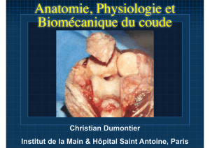 Anatomie, Physiologie et Biomécanique du coude