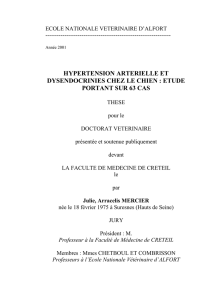 ecole nationale veterinaire d`alfort - Thèses