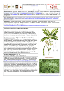 Fiche présentation arbre : Gliricidia sepium (°) Noms communs