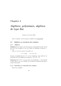 Algèbres, polynômes, algèbres de type fini - IMJ-PRG