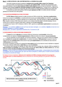 Bilan 6 : LA REPLICATION DE L`ADN, UNE PREPARATION A LA