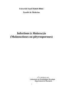 Infections à Malassezia (Malassezioses ou pityrosporoses)